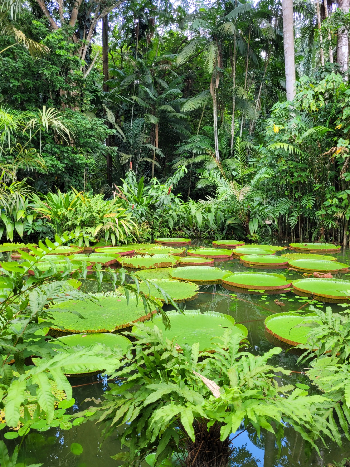Comunidade ribeirinha na Amazônia